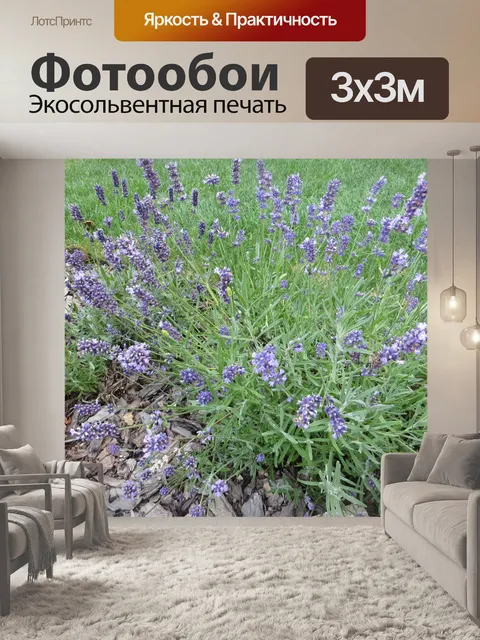 Фотообои Ароматный лаванды