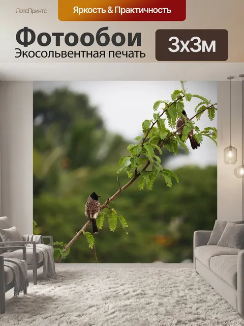 Фотообои Птица
