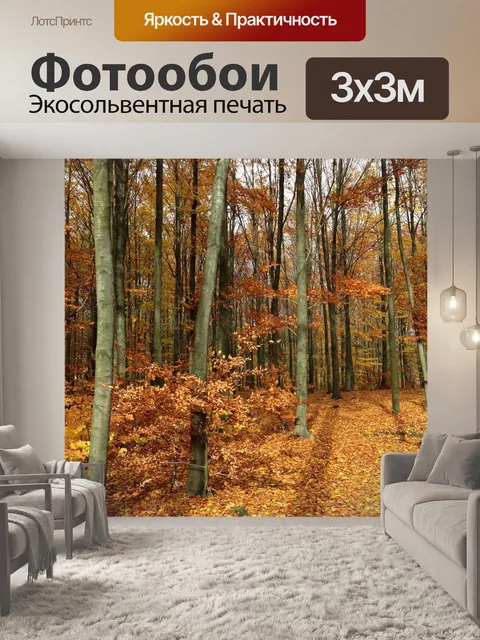 Фотообои Лес