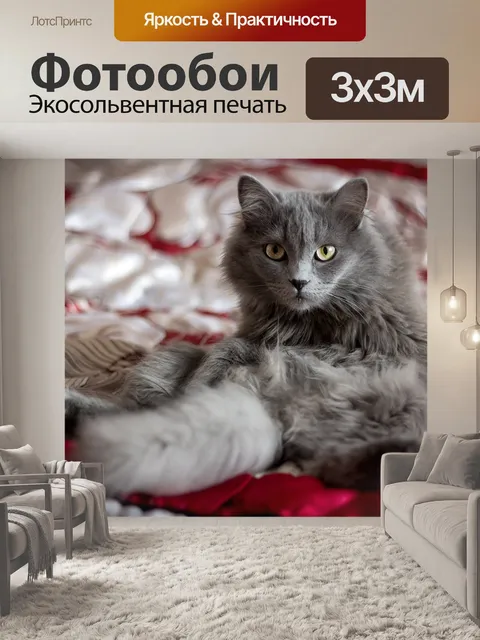 Фотообои Милый
