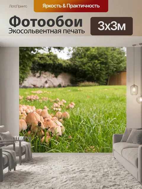 Фотообои Грибы