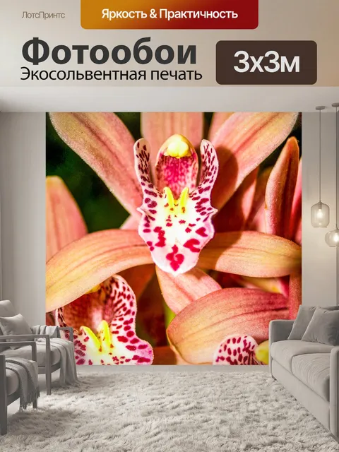 Фотообои Цветок орхидеи