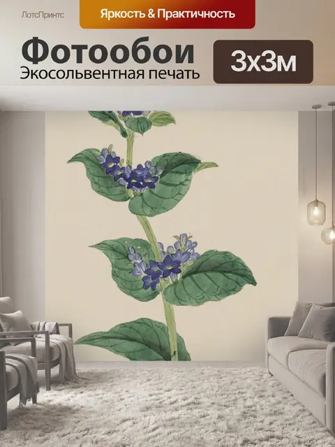 Фотообои Цветы