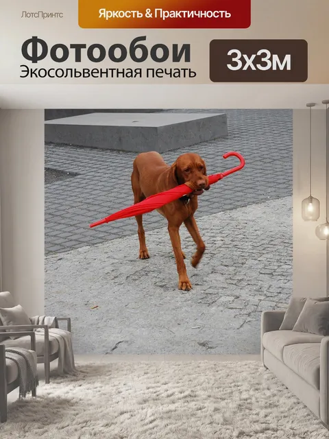 Фотообои Красный