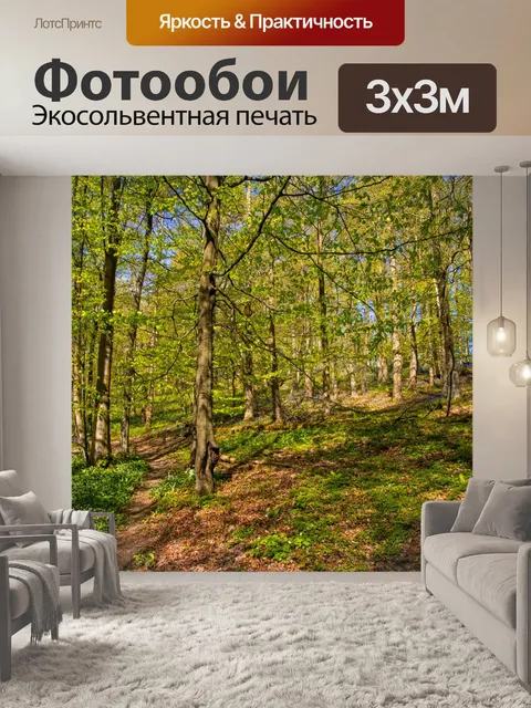 Фотообои Лес в Скиптоне