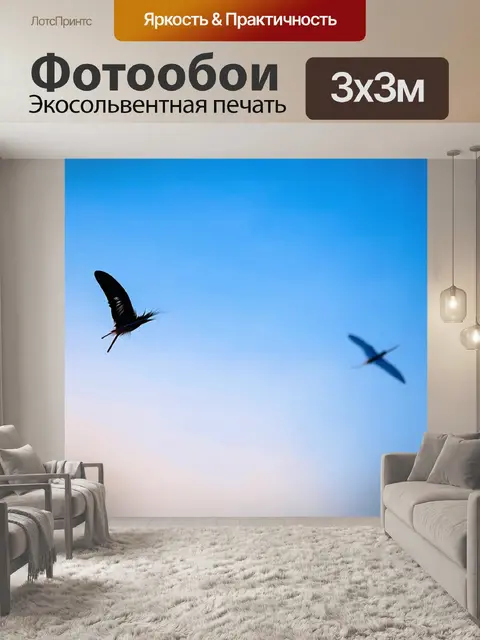 Фотообои градиентные перья, парящие в небе
