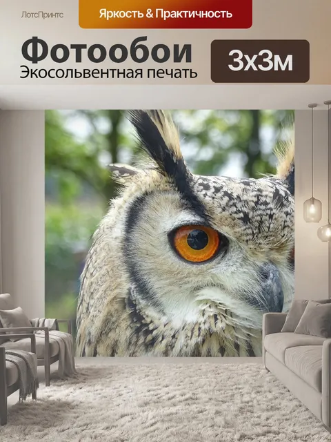 Фотообои Хищная птица