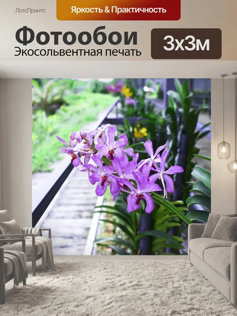 Фотообои Цветы