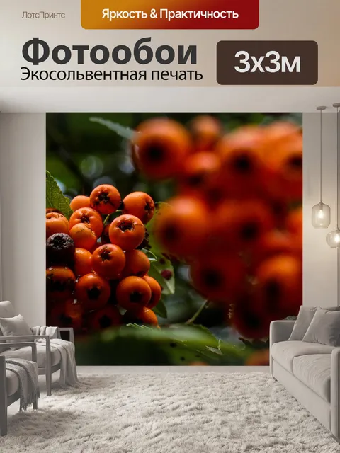 Фотообои Ягоды
