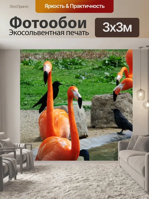 Фотообои Фламинго