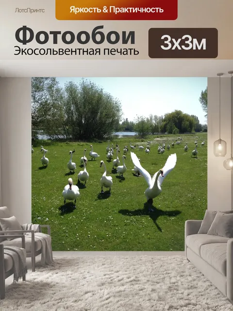 Фотообои Лебеди