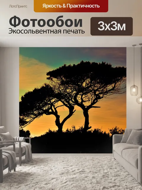 Фотообои Деревья