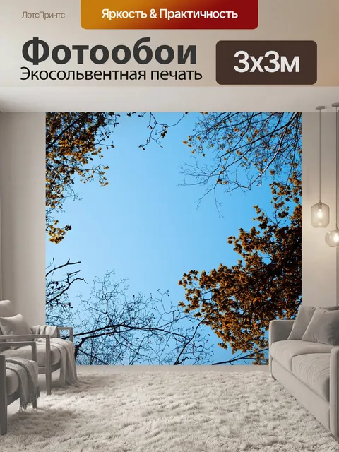 Фотообои Деревья
