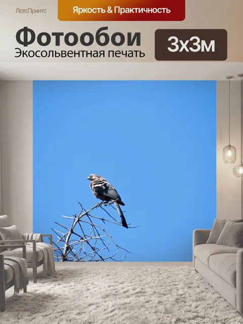 Фотообои Серая птица Лурье сидит на дереве