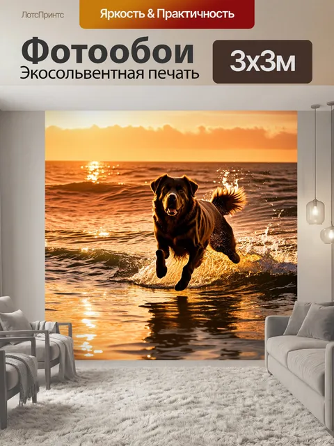 Фотообои динамическое изображение ньюфаундлендской собаки, прыгающей в море во время заката