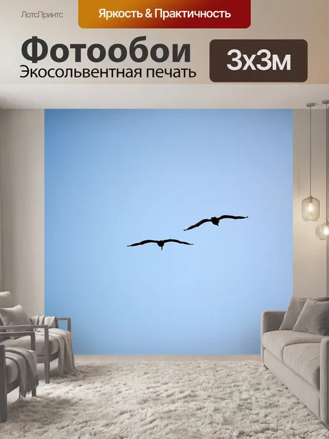 Фотообои Птицы