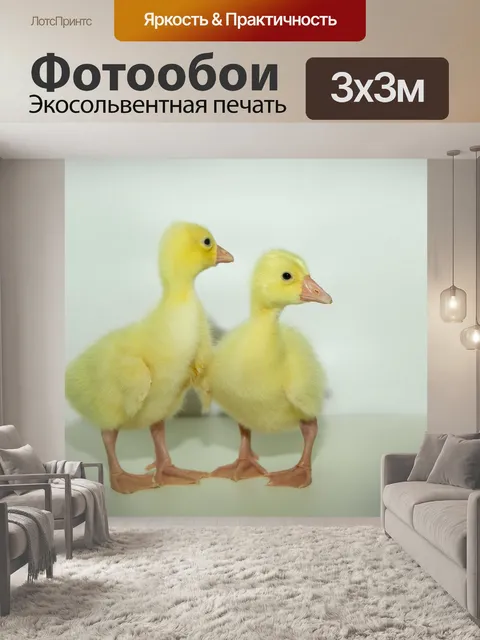 Фотообои Гуси
