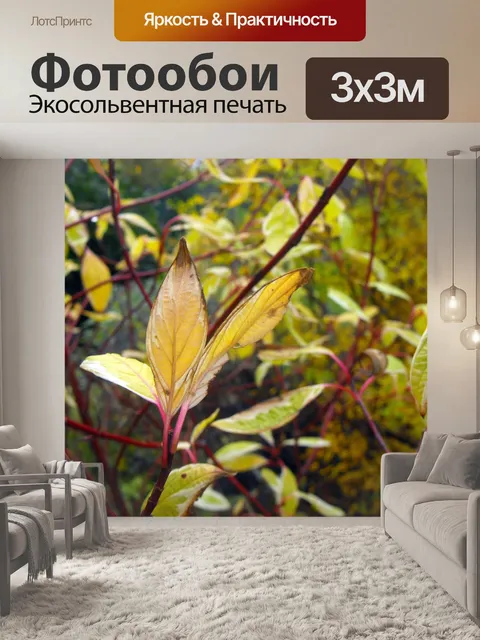 Фотообои Цветок