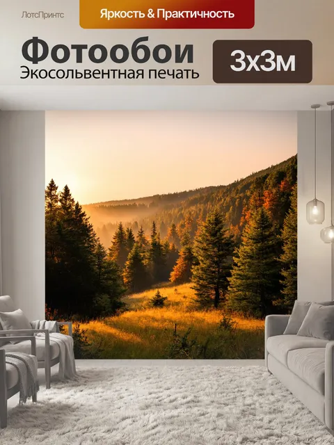 Фотообои лес с далекими холмами, омытыми мягким светом заката