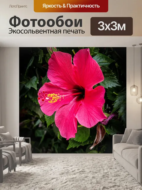 Фотообои Тропический