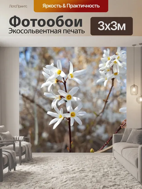 Фотообои Нам дерево корабль