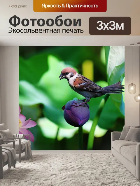 Фотообои Воробей