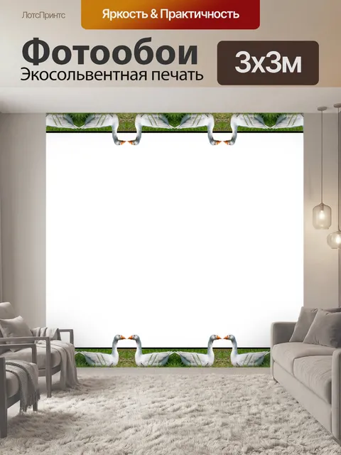 Фотообои Рамка