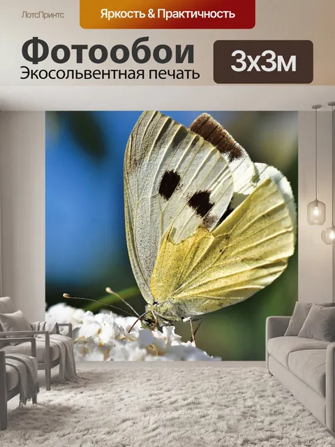 Фотообои Белый