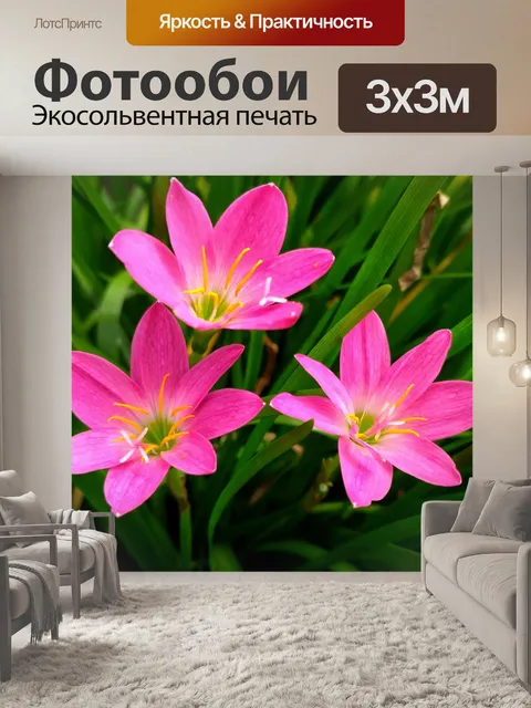 Фотообои Цветок