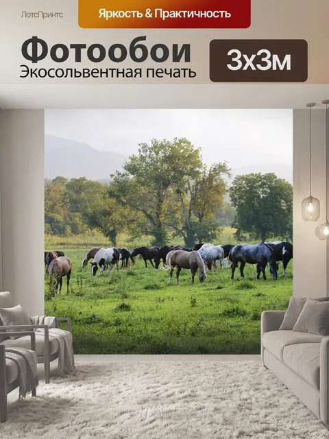 Фотообои Лошадь