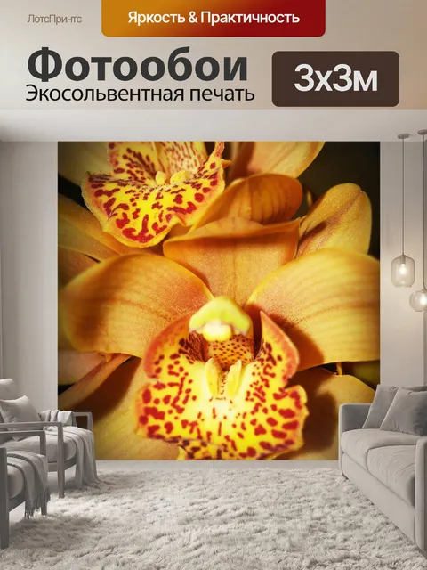 Фотообои Цветок