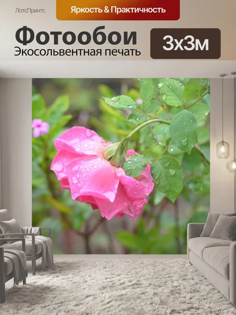 Фотообои Роза