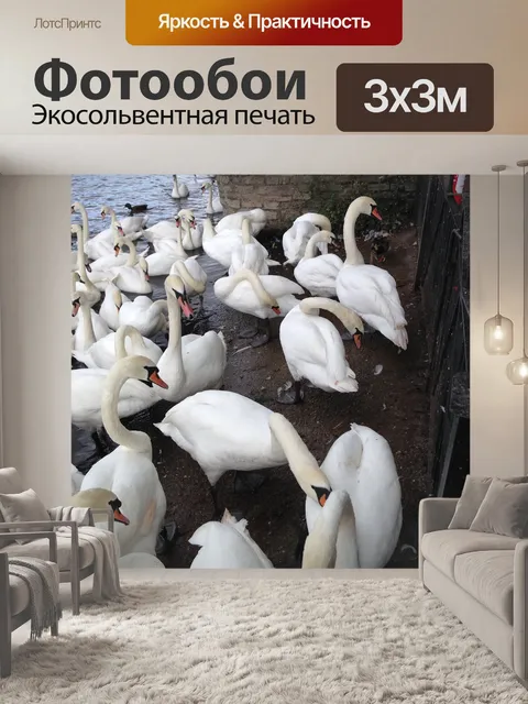 Фотообои Лебеди