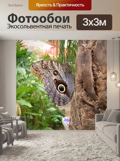 Фотообои Спящая Бабочка