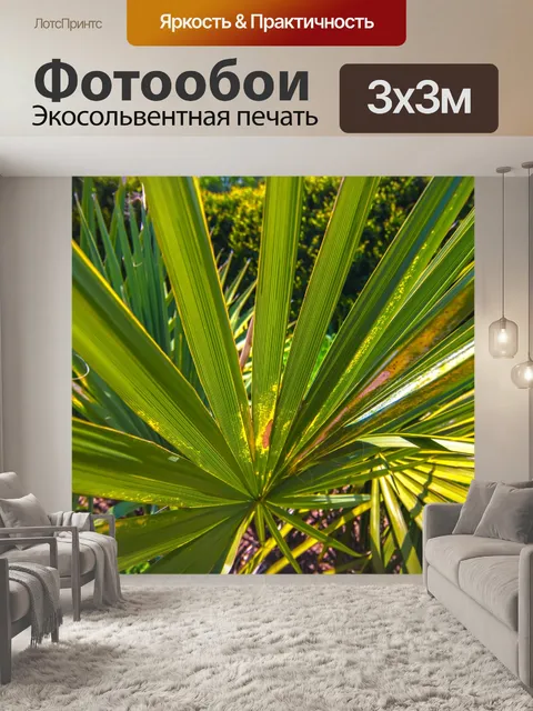 Фотообои Крупным планом пальмовых листьев
