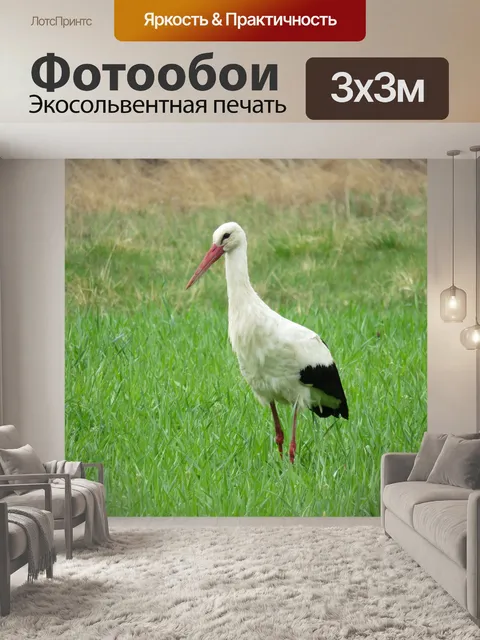 Фотообои Аист