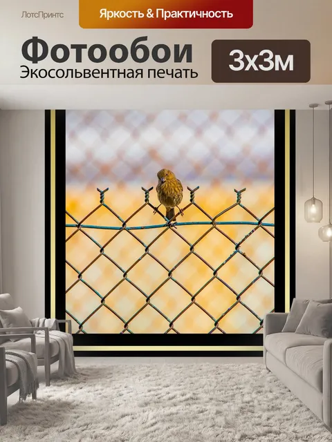 Фотообои Симпатичный постер Финча
