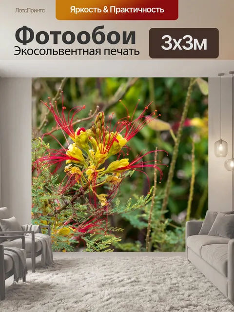Фотообои Природа Крита