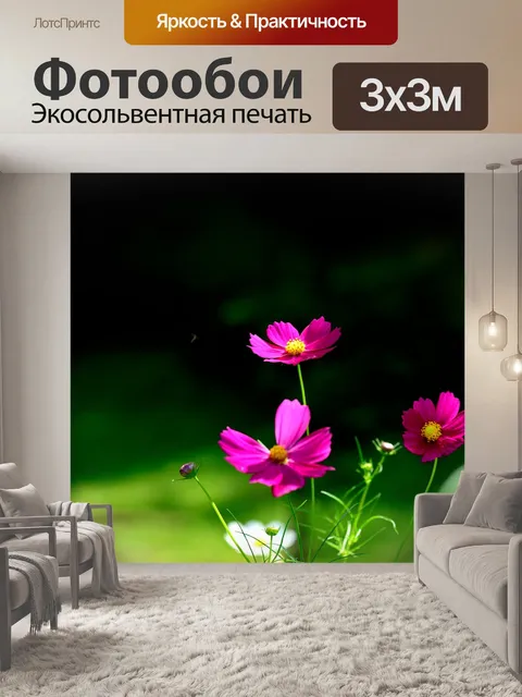 Фотообои Цветы