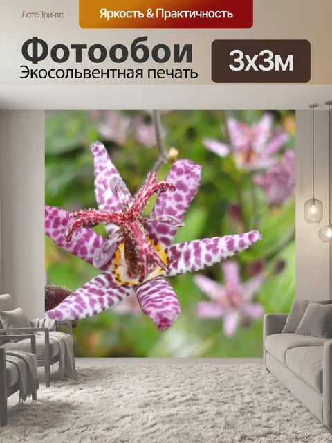 Фотообои Цвести