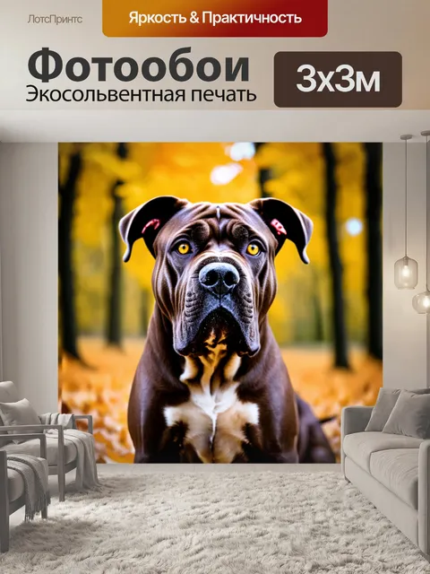 Фотообои Крупный план головы собаки породы конекорсо