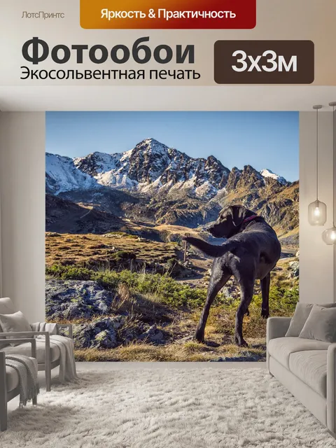 Фотообои Собака