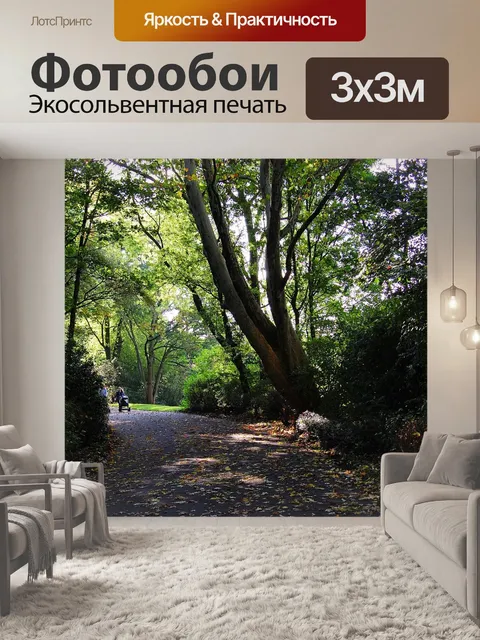Фотообои Лес