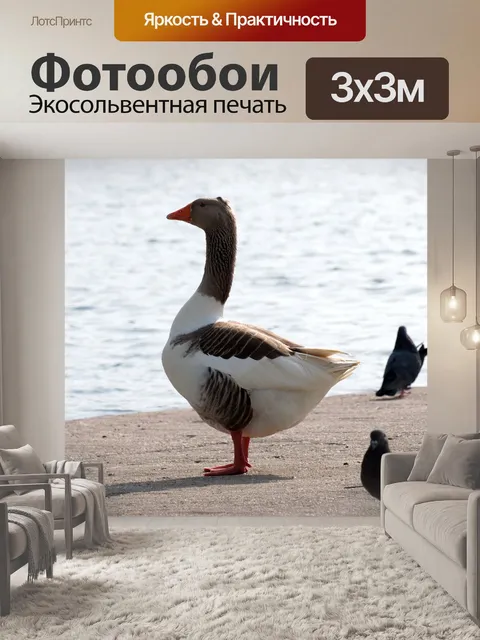 Фотообои Птицы
