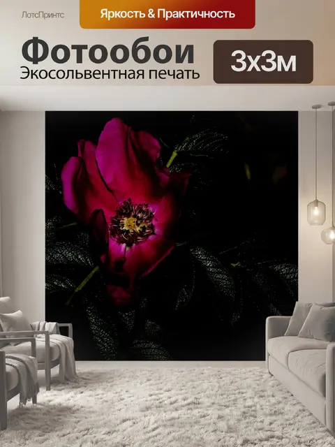 Фотообои Шиповник