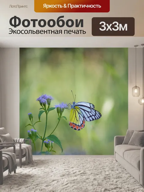Фотообои Бабочка