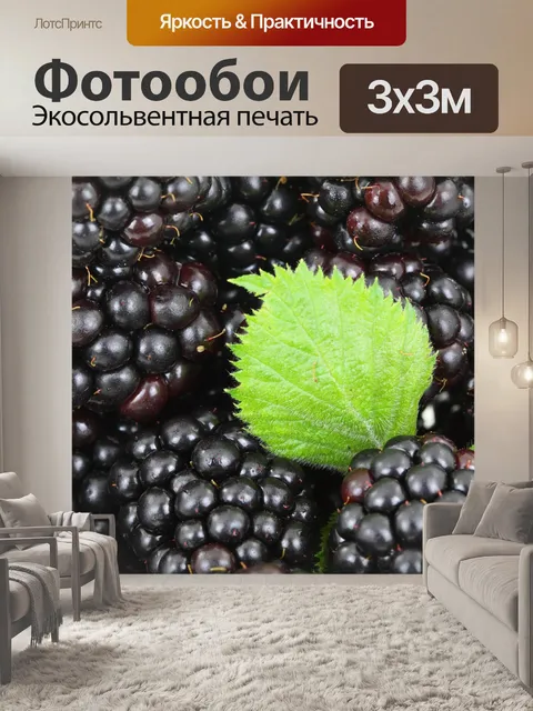 Фотообои Задний план