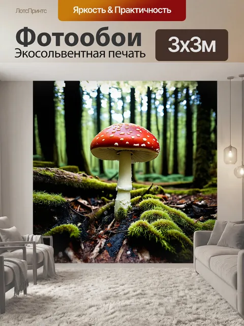 Фотообои изысканный красный мухомор