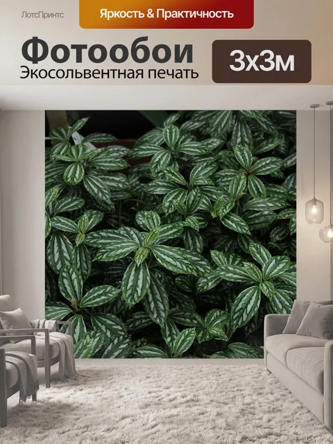 Фотообои Листья