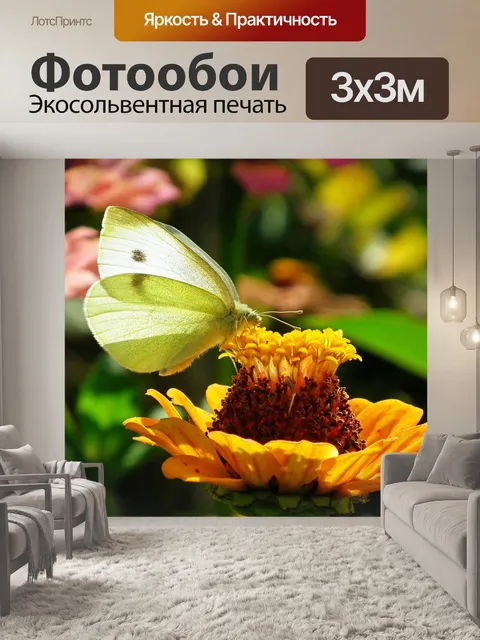 Фотообои Бабочка